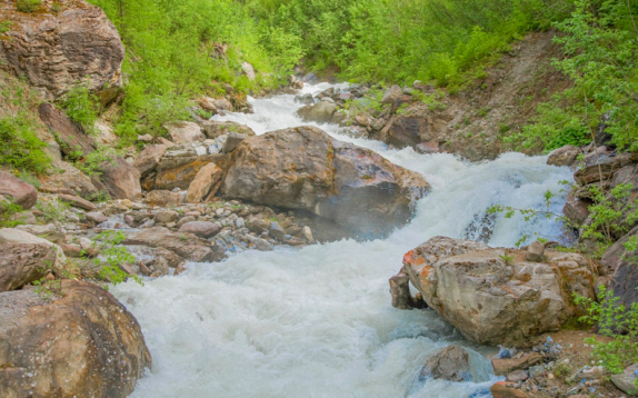 Angela Büchel Bestattungen, Luzernstrasse 9 in Derendingen