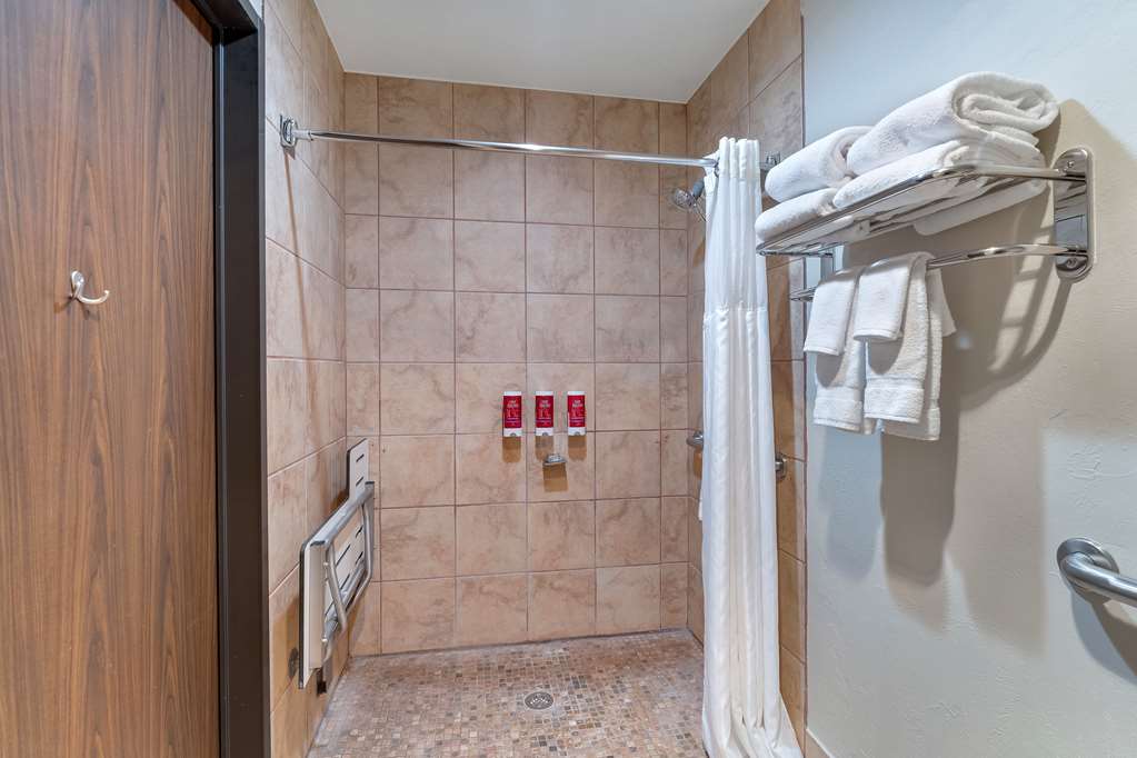 Accessible Roll In Shower