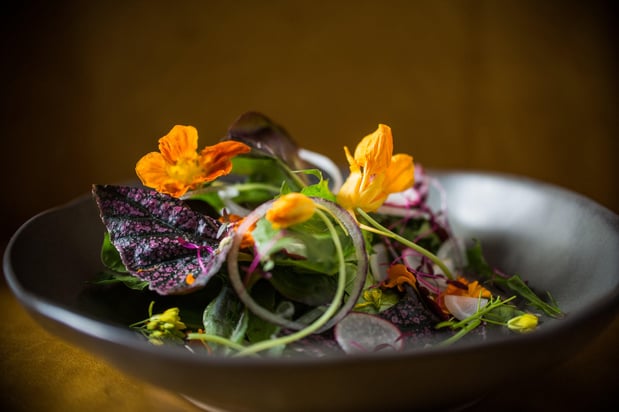 Images Kimpton Sylvan Atlanta - Buckhead by IHG