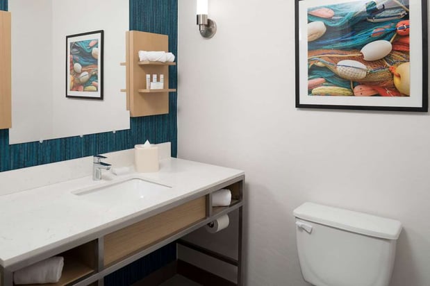 Images Hilton Garden Inn Sioux City Riverfront