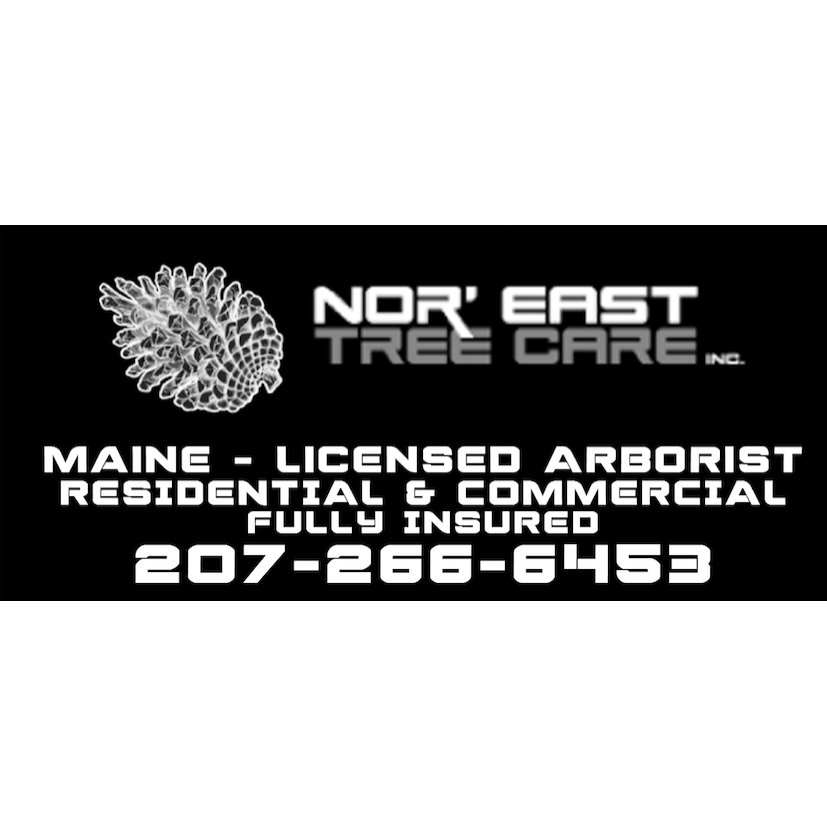 Nor' East Tree Care Inc