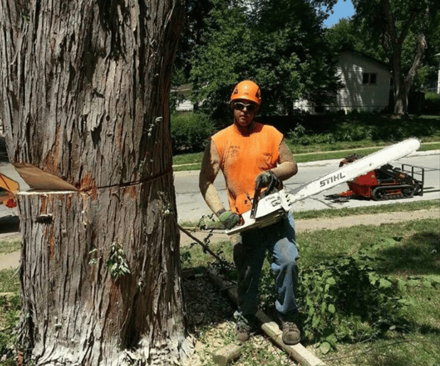 Images Kimball Tree Service