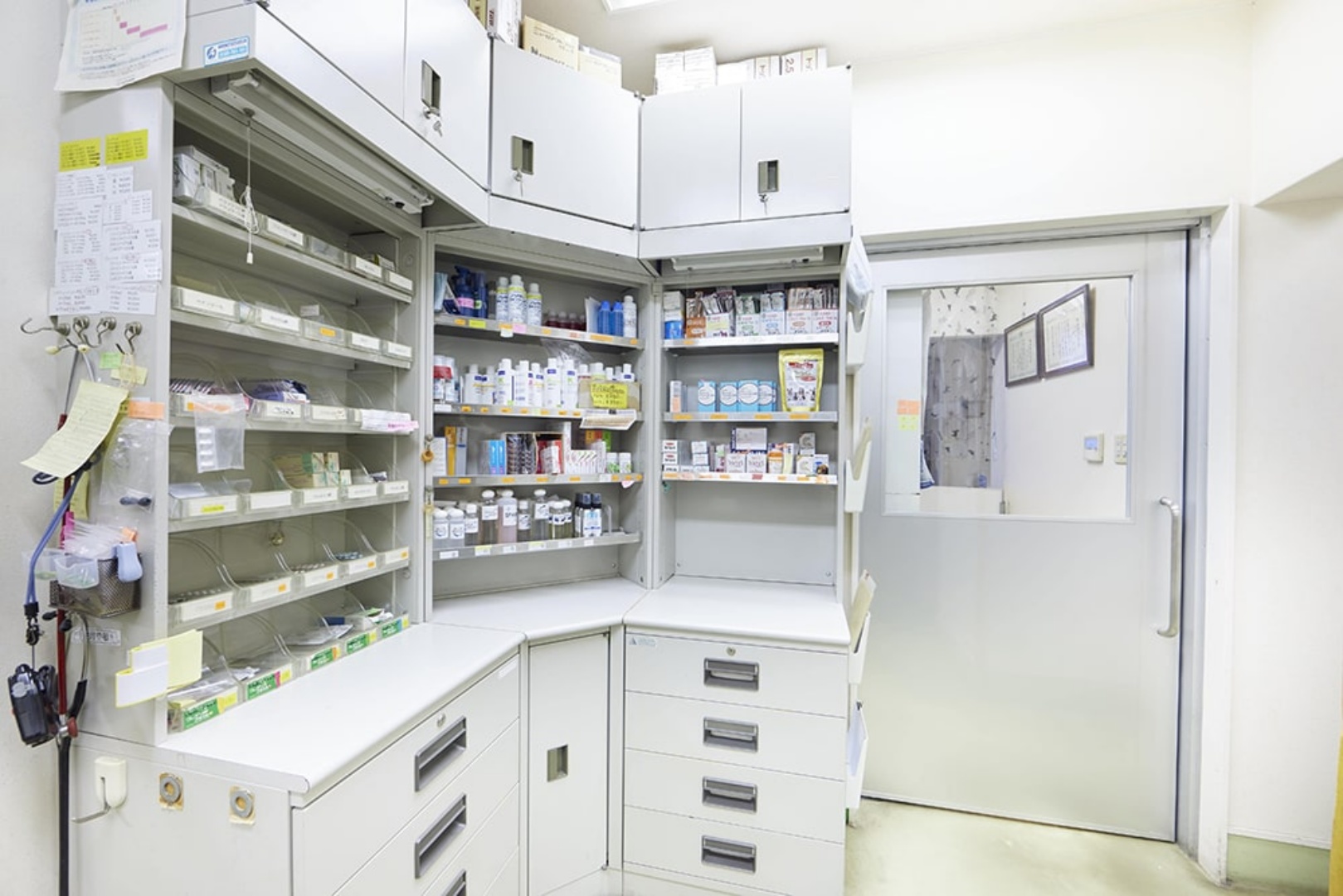 Images 江島動物病院 PAL動物病院グループ