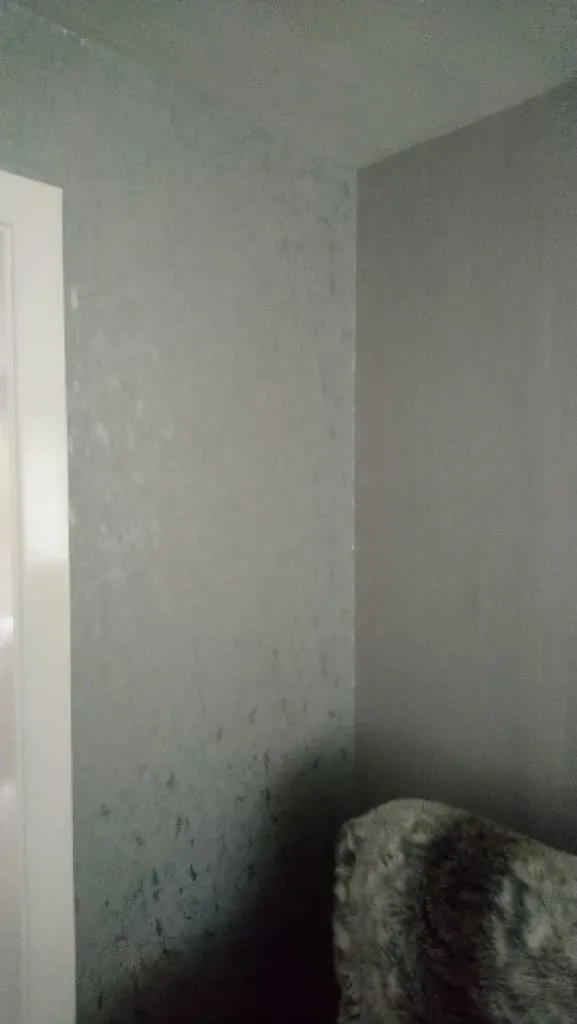 Images Simon Scrimshaw Painting & Decorating