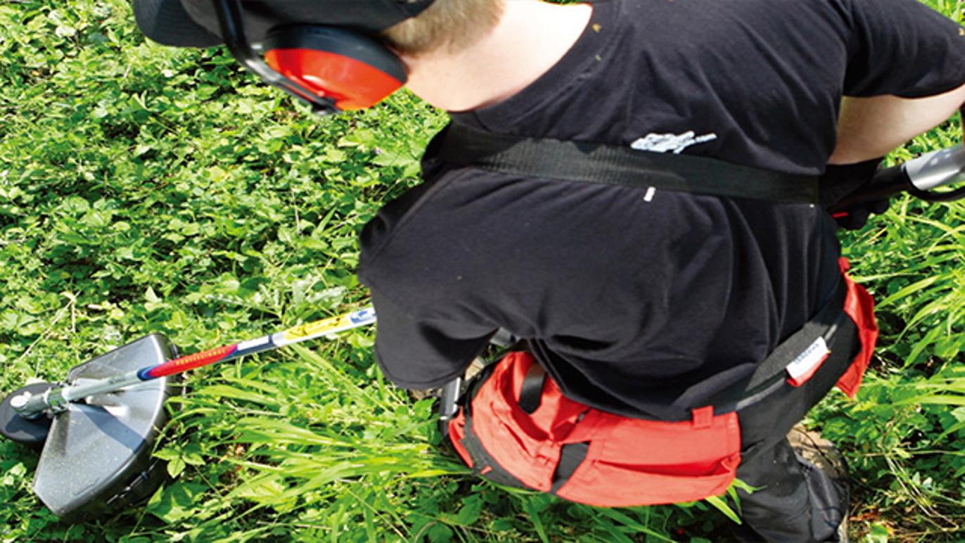 Images Grenaa Skov-Have & Marineservice V / Gustav Laurids Olling Rasmussen