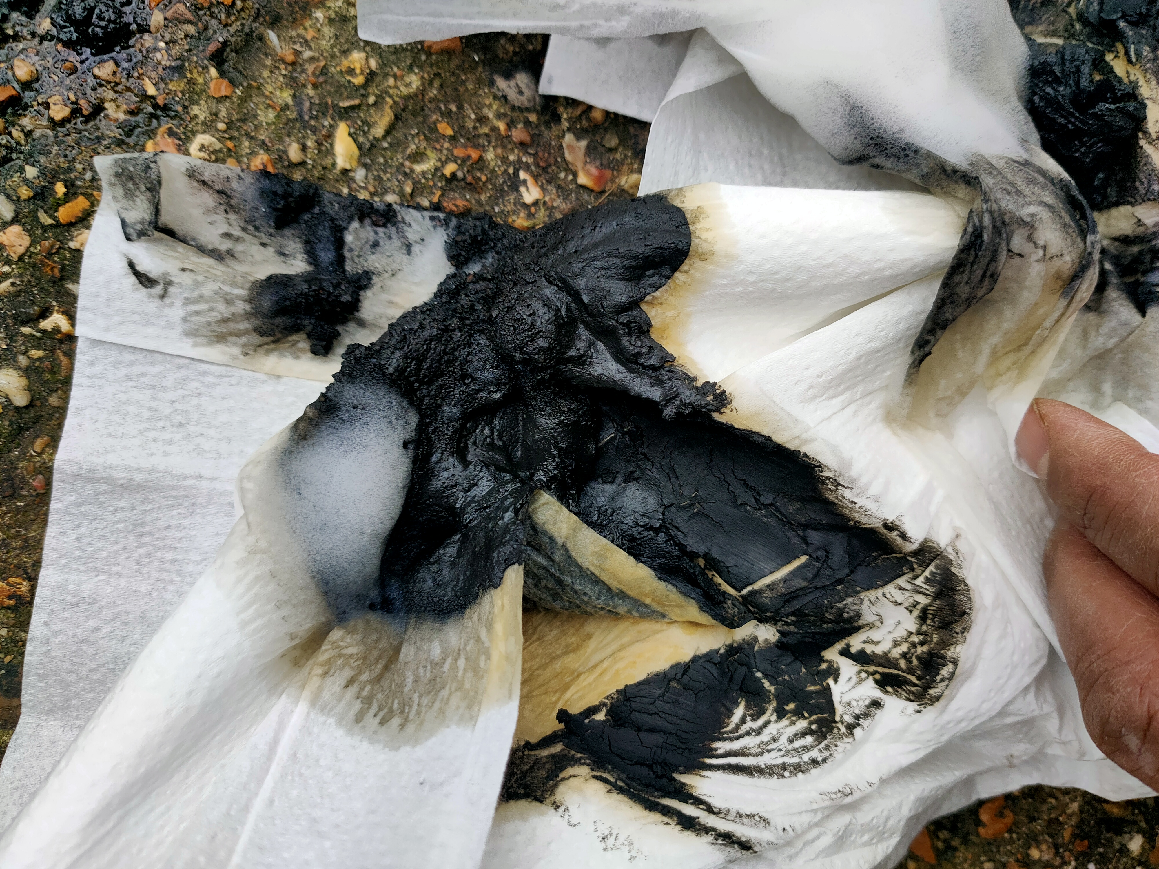 Images The Power Flush Company