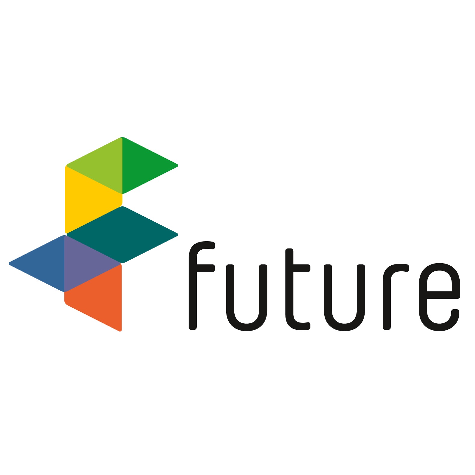 future Training & Consulting GmbH in Halle (Saale)