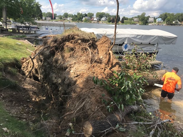 Images Home Grown Tree Care, LLC