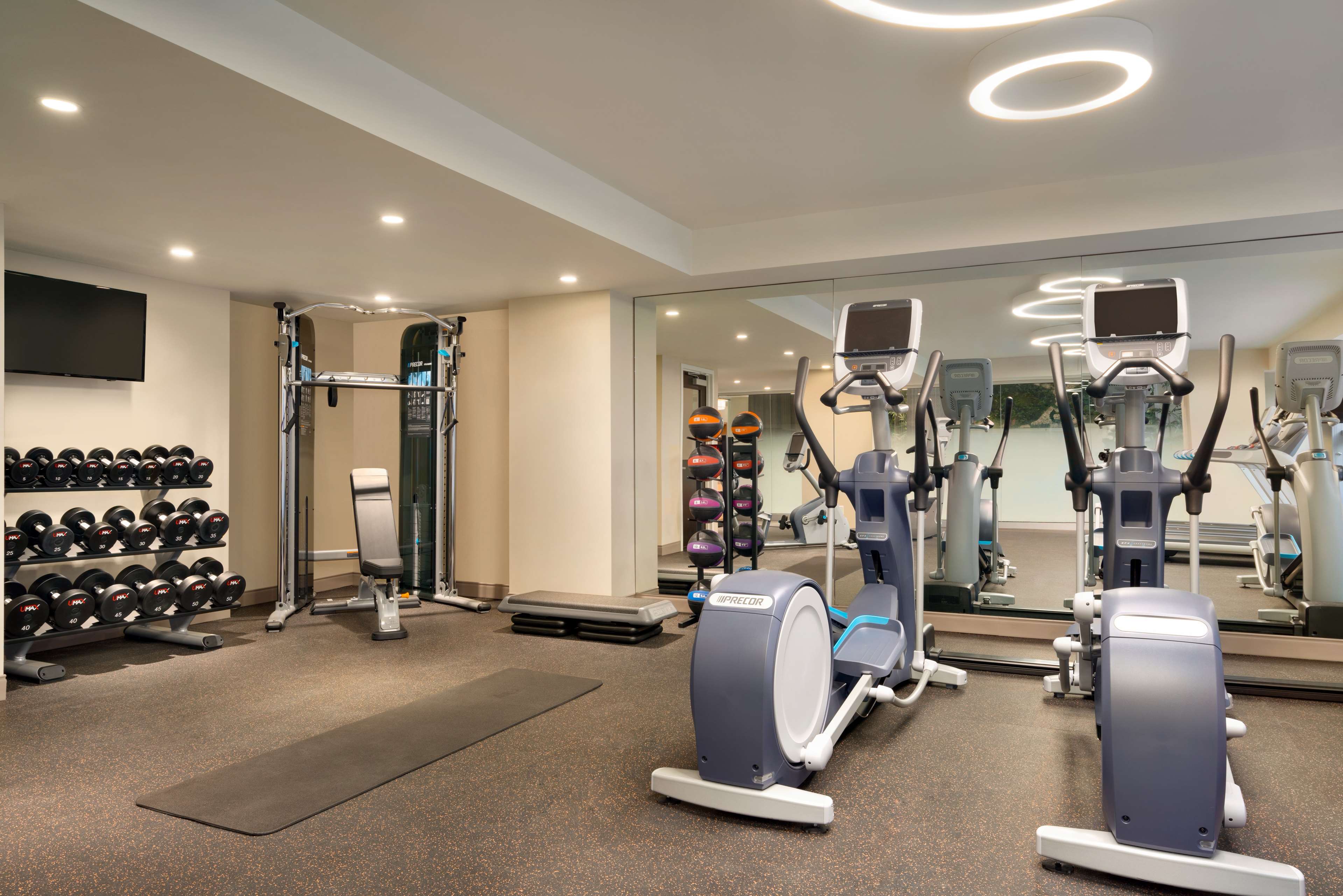 Health club fitness center gym
