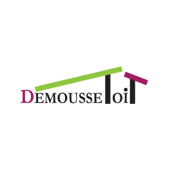 DemousseToit Logo