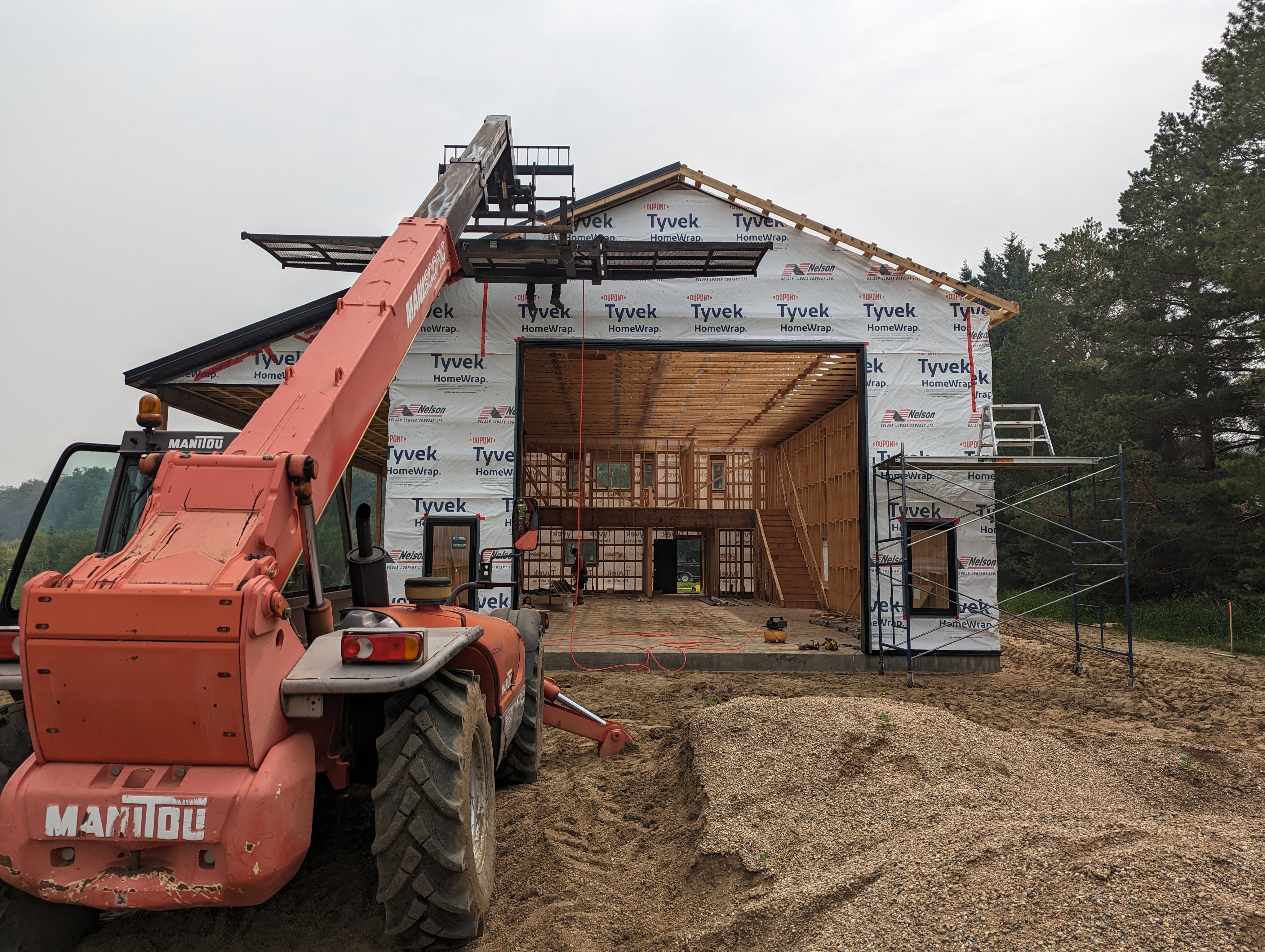 Images The Blue Spruce Builder