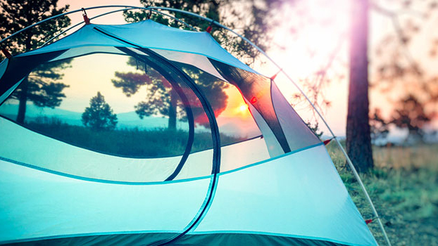 Images Småskolen på Peterslyst Ridecenter