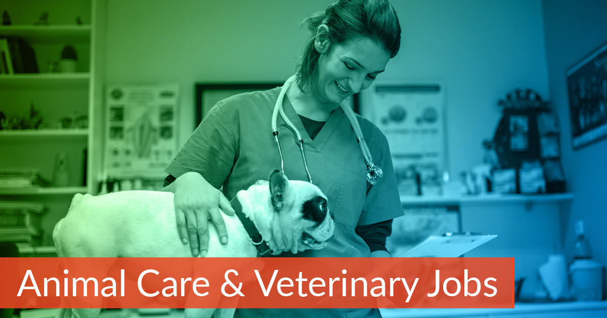 Animal Care and Veterinary jobs on Corridor Careers