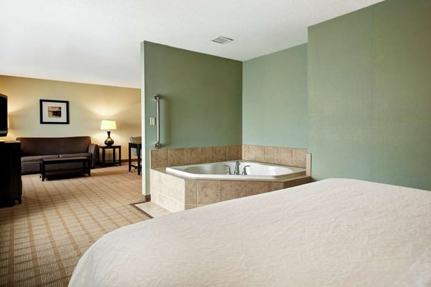 Images Hampton Inn & Suites Detroit-Canton
