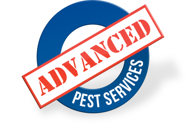 Advanced Pest Services - Bakersfield, CA 93308 - (661)587-7800 | ShowMeLocal.com