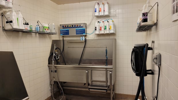Images Petco Grooming