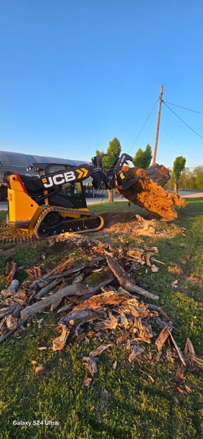Images Rikin Tree Services
