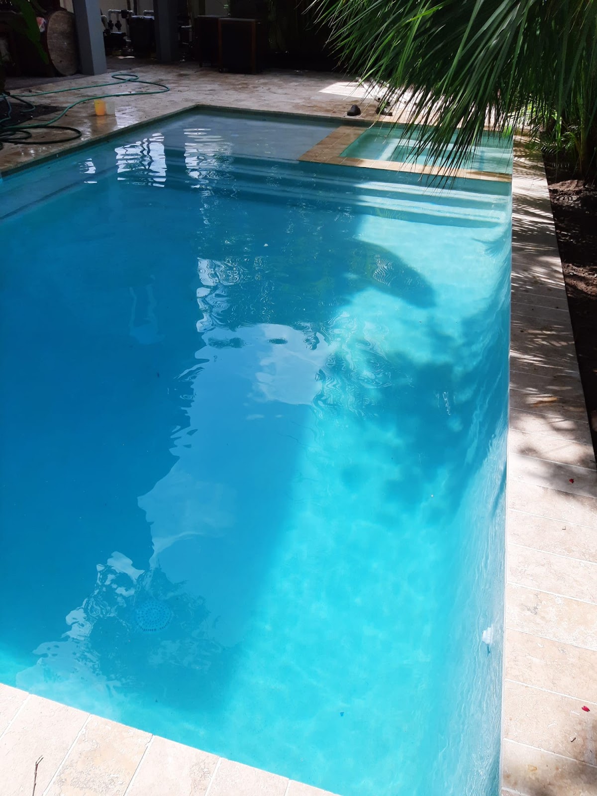 Residential backyard swimming pool with bright turquoise water, light stone coping, and tropical landscaping.