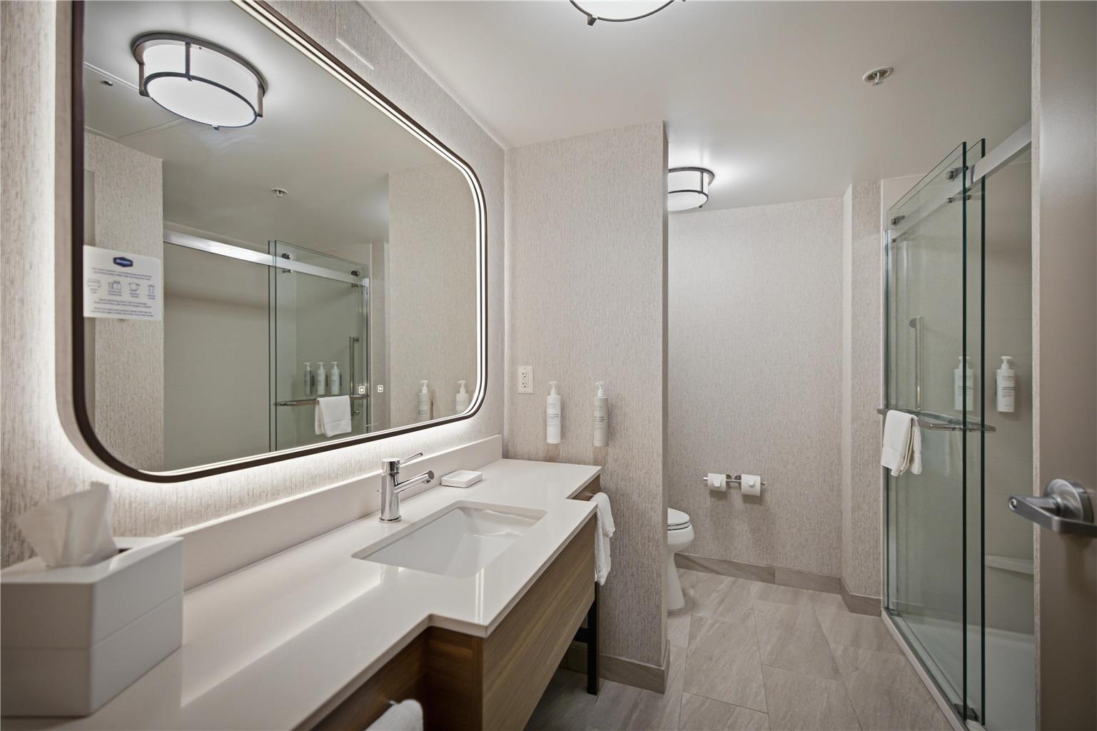 Guest room bath 