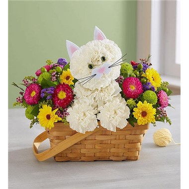 EXCLUSIVE The cat’s out of the bag! Inspired by the success of our best-selling a-DOG-able® collection, we’ve created the purr-fect surprise for feline lovers of all ages. Crafted from white carnations and a mix of colorful blooms inside a charming handled basket, this truly original kitten earns every “aww” it gets.