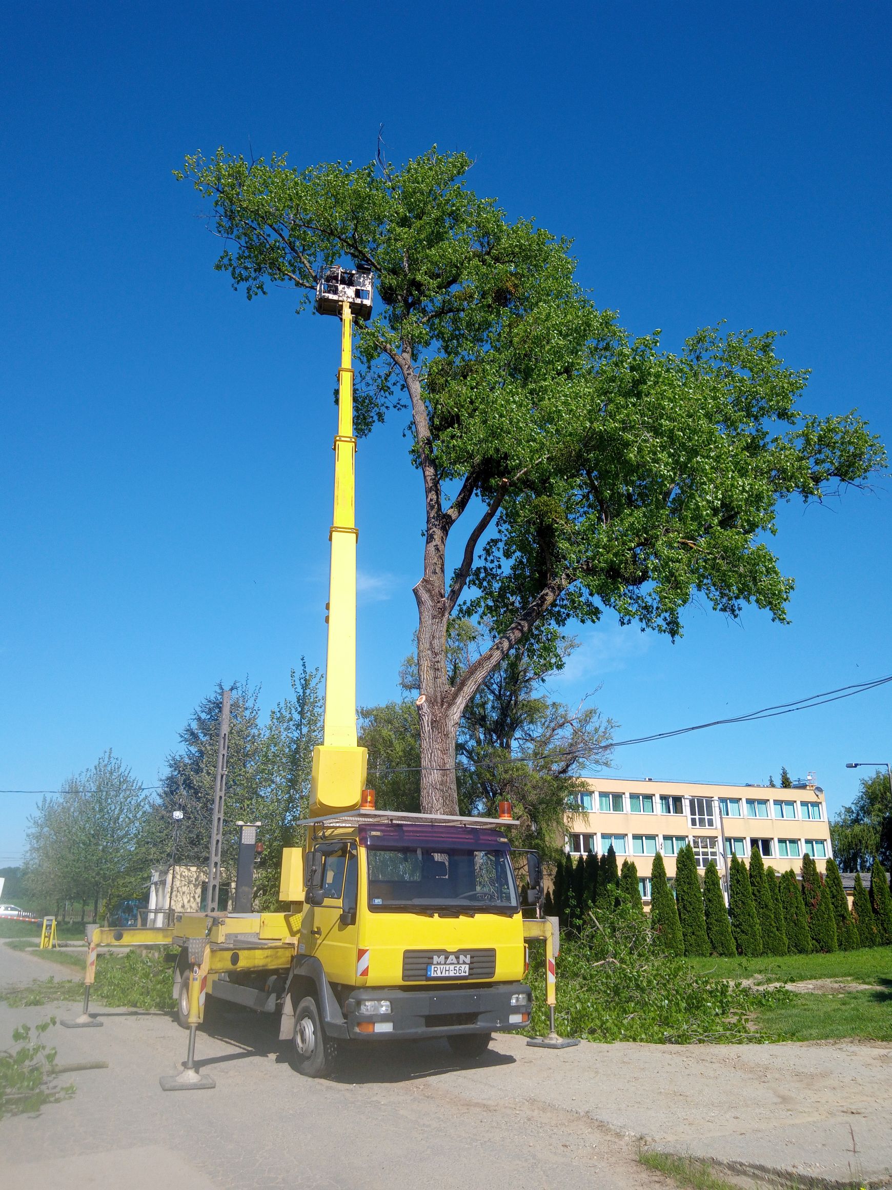 Images Veszélyes fák kivágása,Emelőkosaras daruzás,Fakitermelés - Megyes Ernő