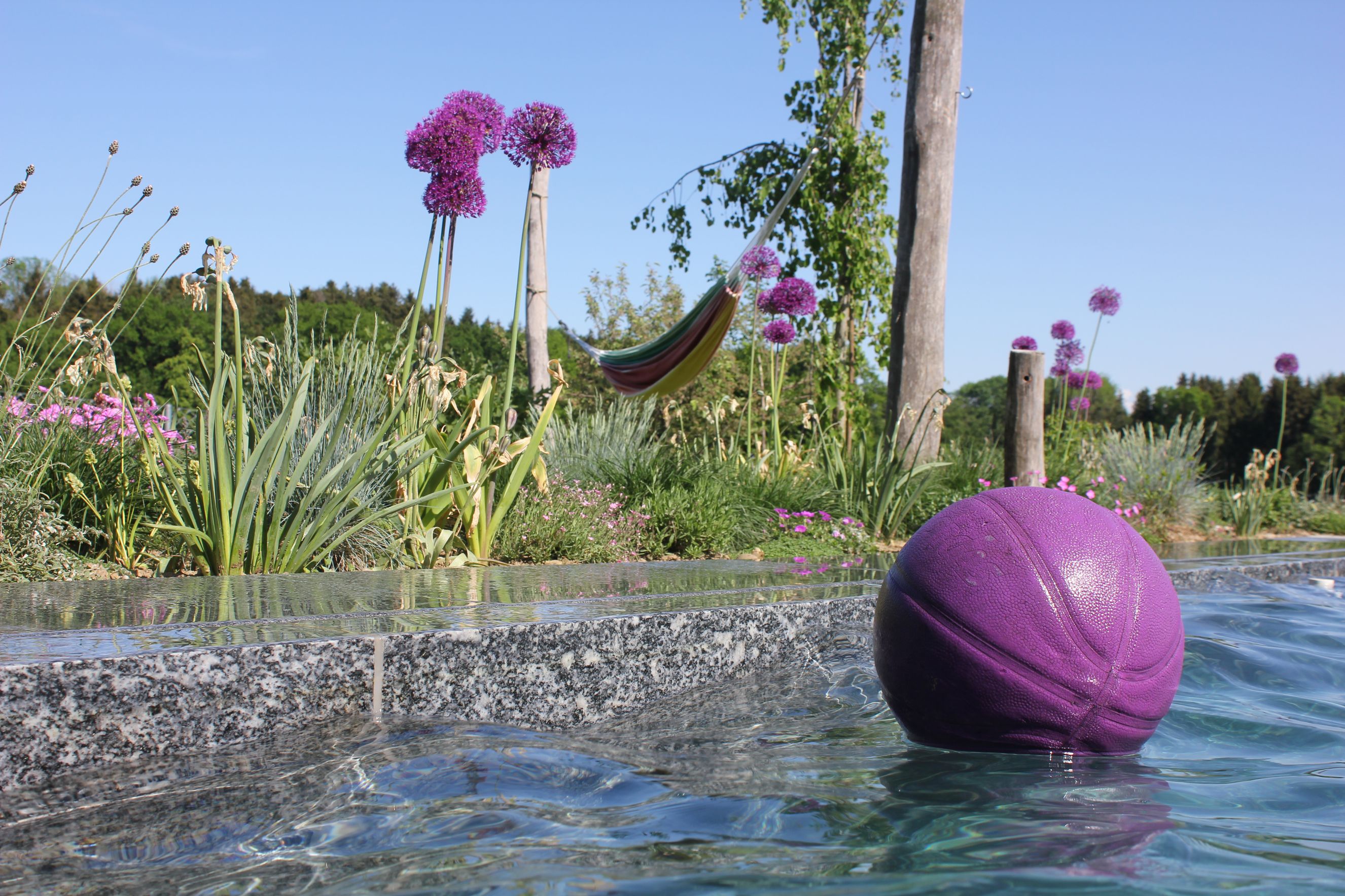 Bilder Artho Gärten AG