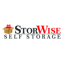 StorWise - Spikes Logo