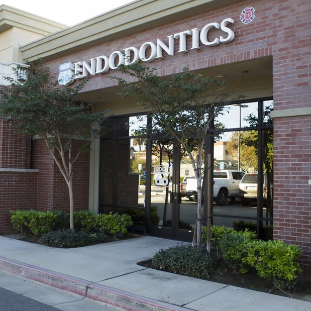 Images Root 66 Endodontics