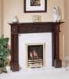 Images Danton Fireplaces