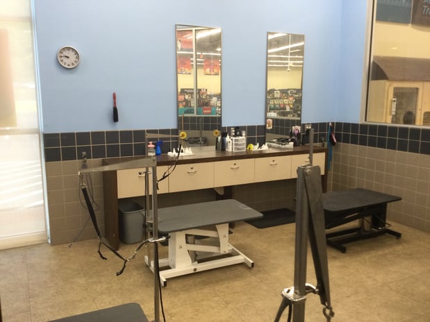Images Petco Grooming