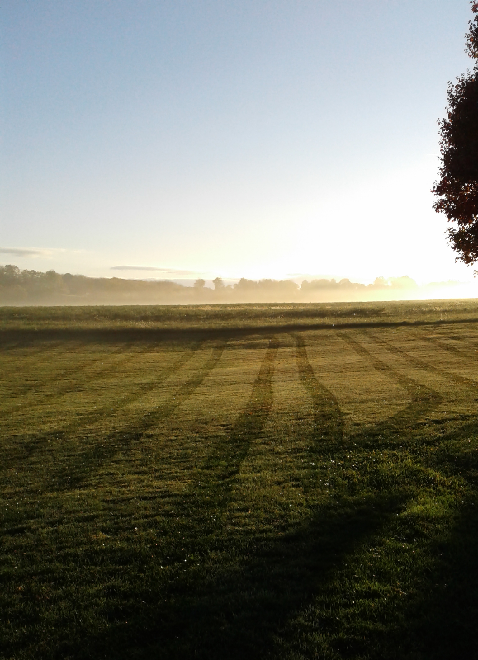 – Especially in the springtime, rolling out your lawn smooths out heaving from frost, and bumps and irregularities caused by rodents or grubs.