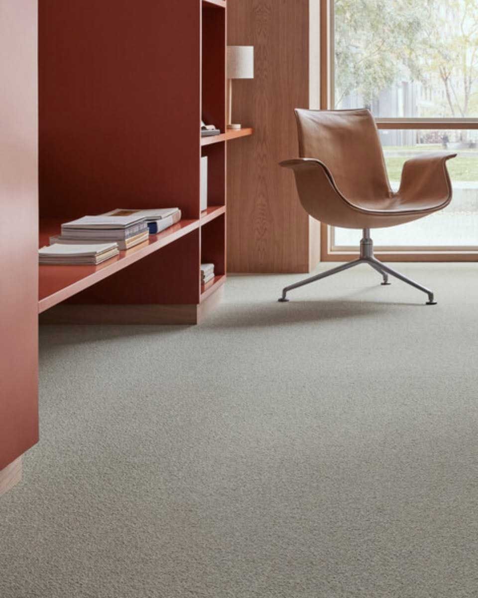 Linoleum City Portland Image