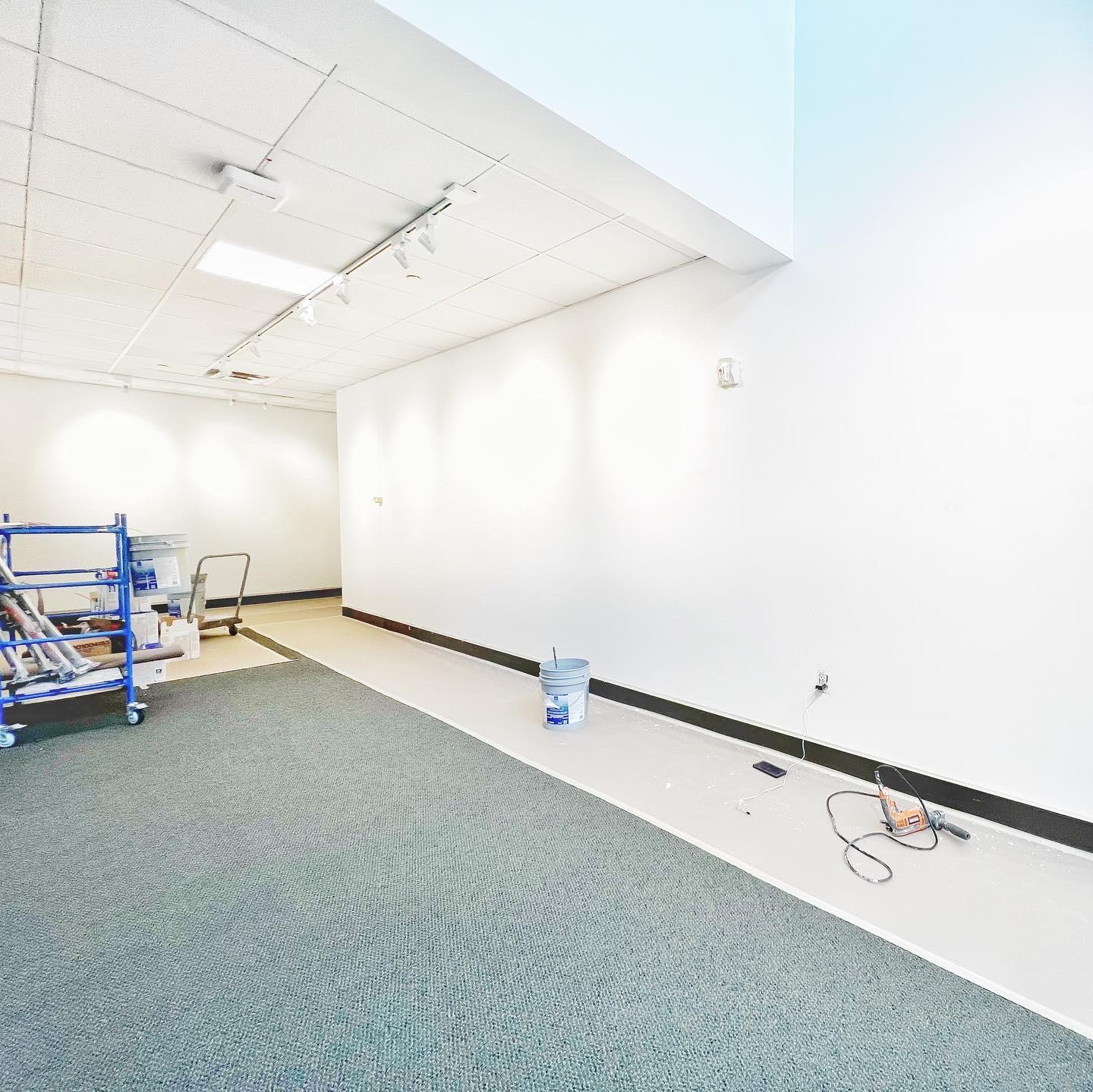 TJ's Professional Painting and Construction LLC