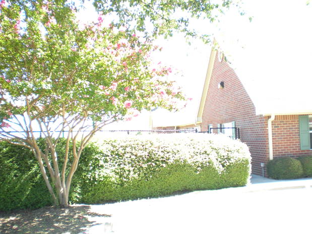 Images Primrose School of Rockwall