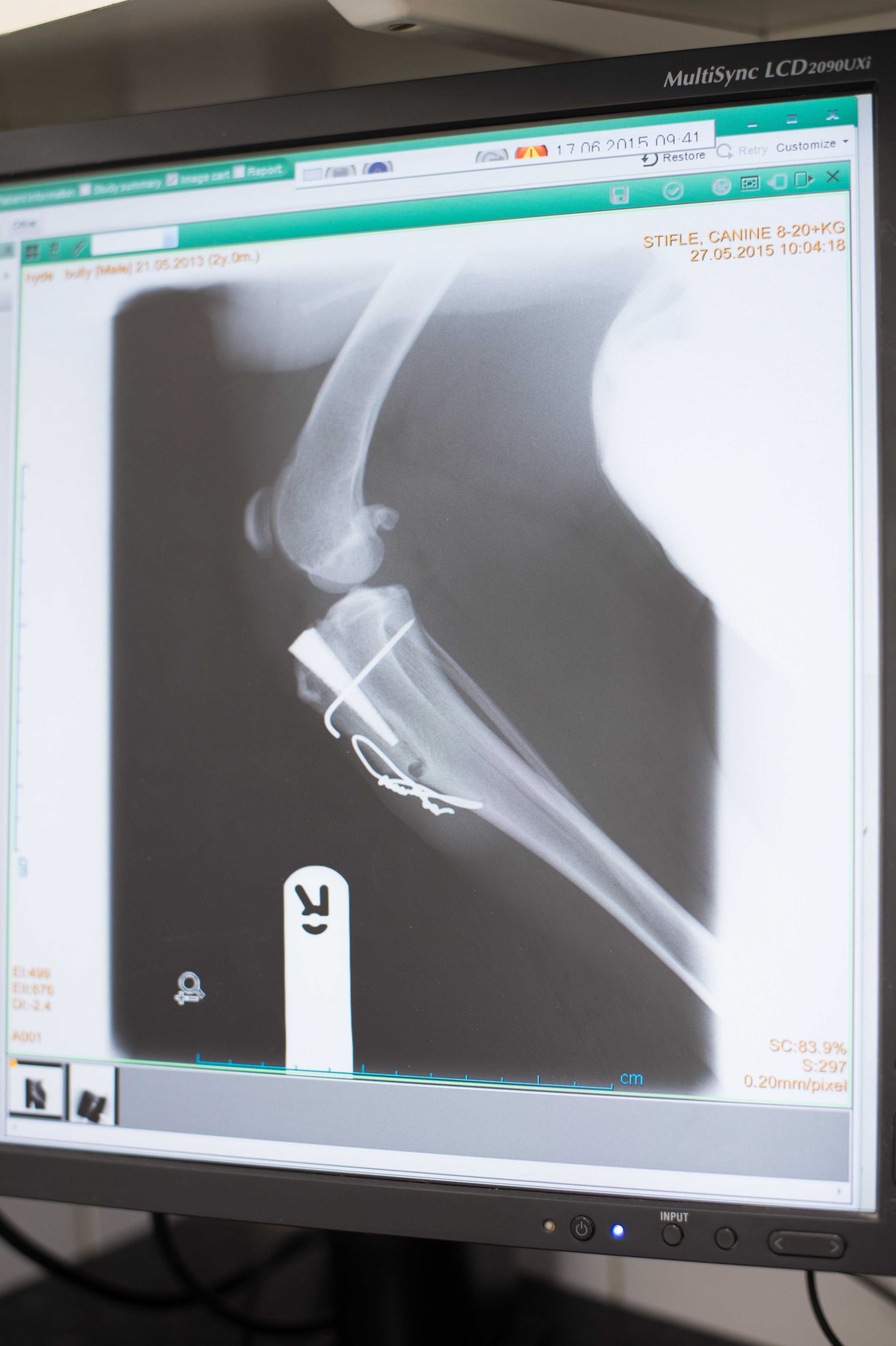 Images Streatham Hill Veterinary Surgery
