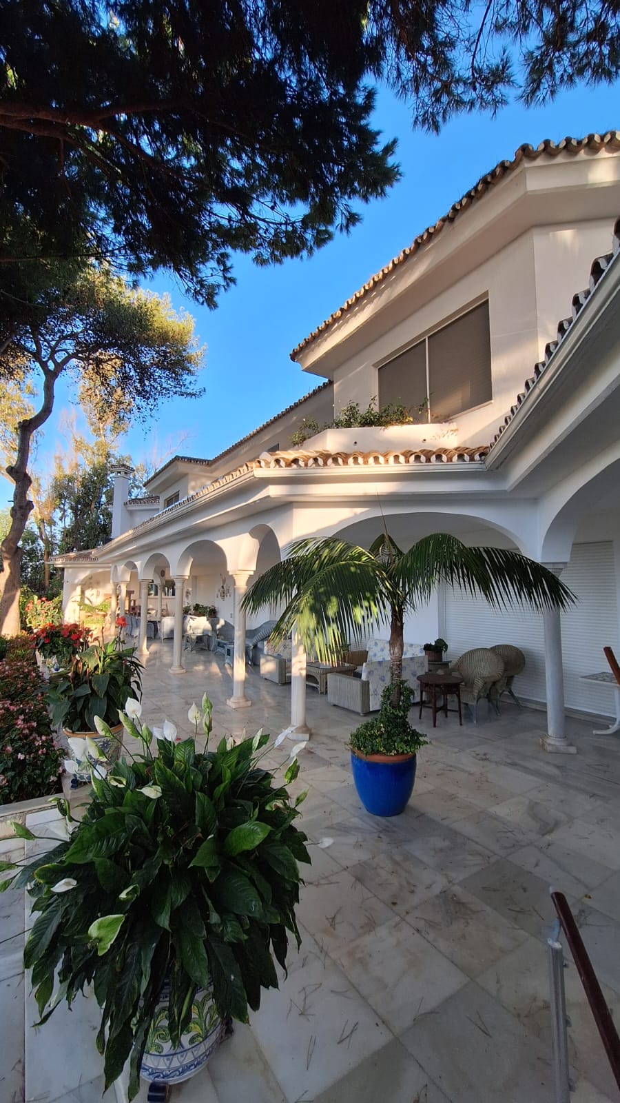 Images Rs Pintura en General