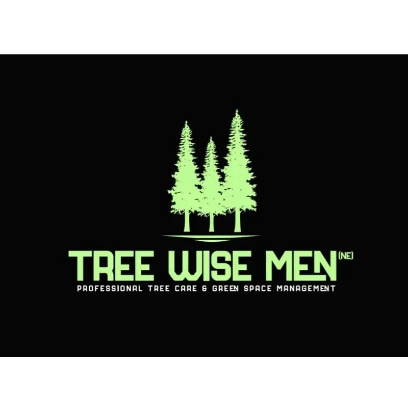 Tree Wise Men (NE) Ltd Logo