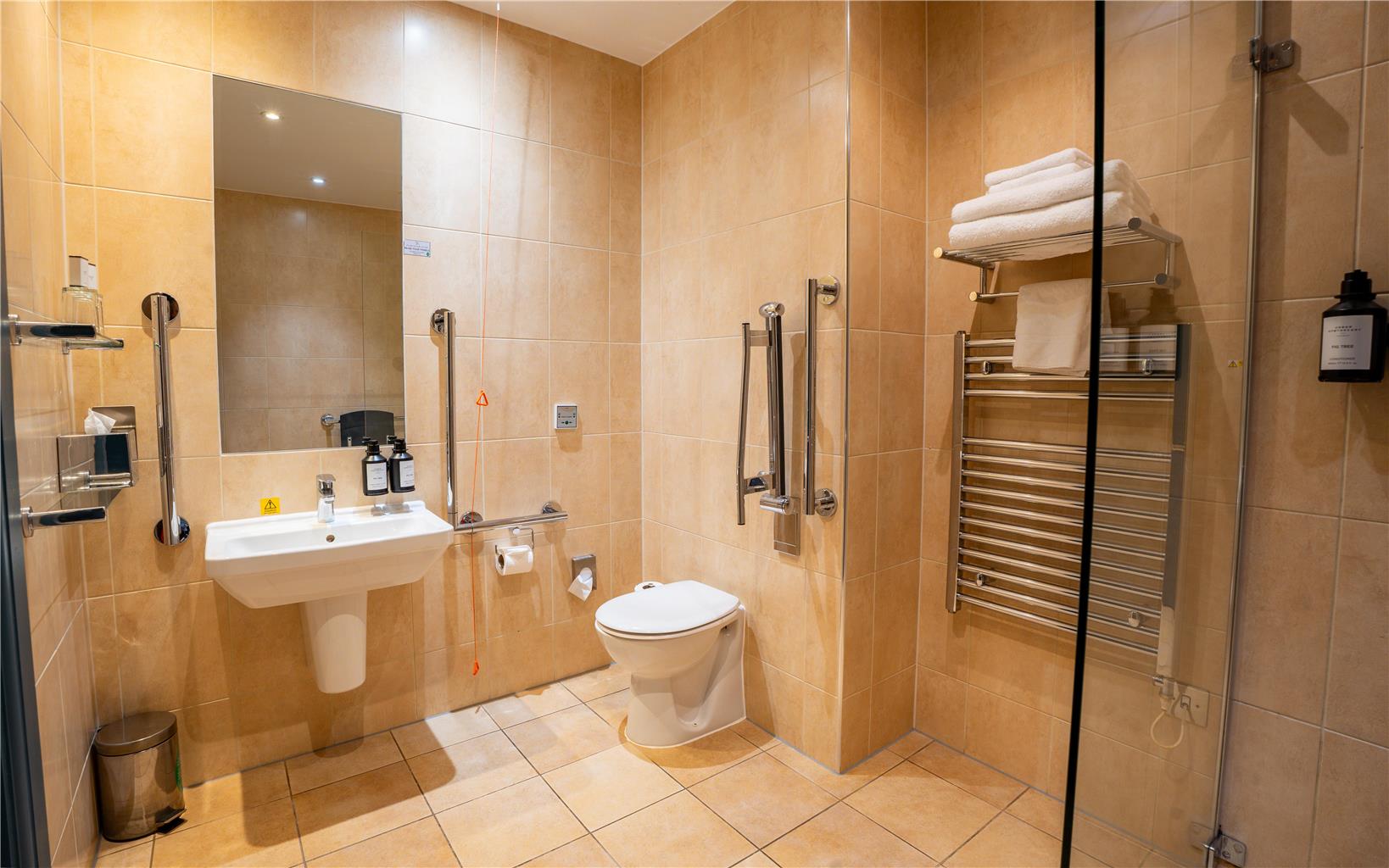 Accessible Shower Room