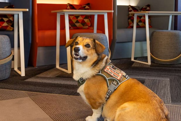 Images Tru by Hilton Yakima Airport