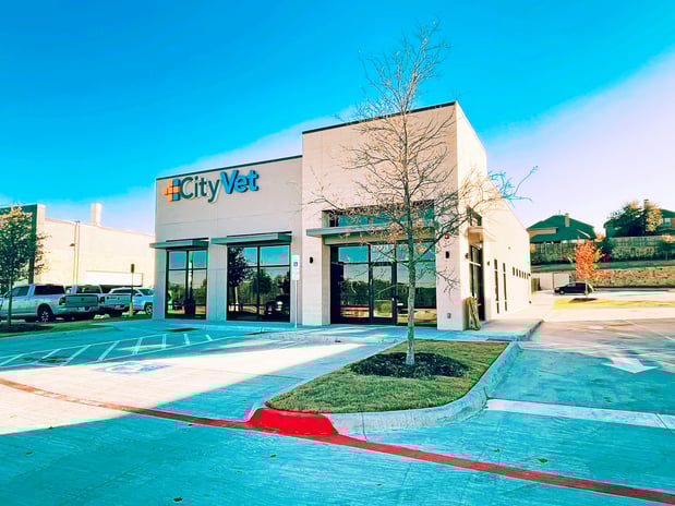 Images CityVet | McKinney