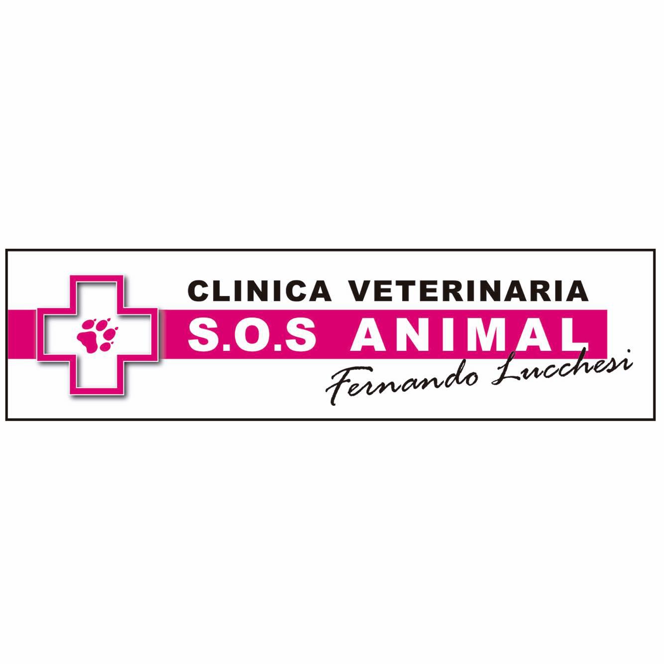 Clinica Veterinaria S.O.S. ANIMAL Fernando Lucchesi Logo