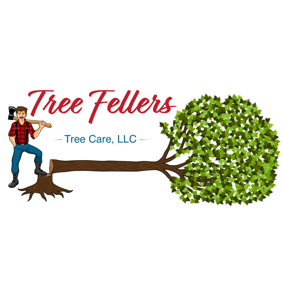 Tree Fellers Tree Care, LLC