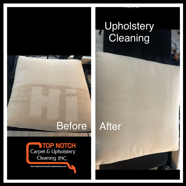 Images Top Notch Carpet And Upholstery Cleaning Inc.