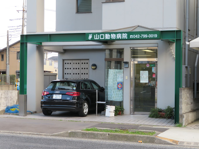 Images 山口動物病院