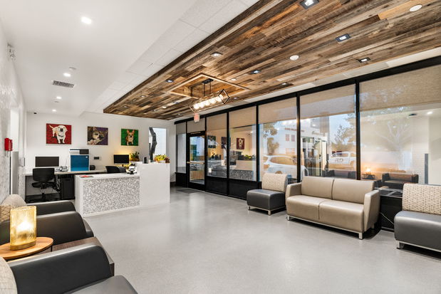 Images VCA Orange County Veterinary Specialists