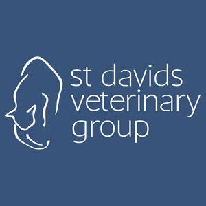 We care for pets in Exeter | St Davids Veterinary Group