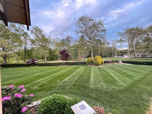 Images Best Complete Lawn Care