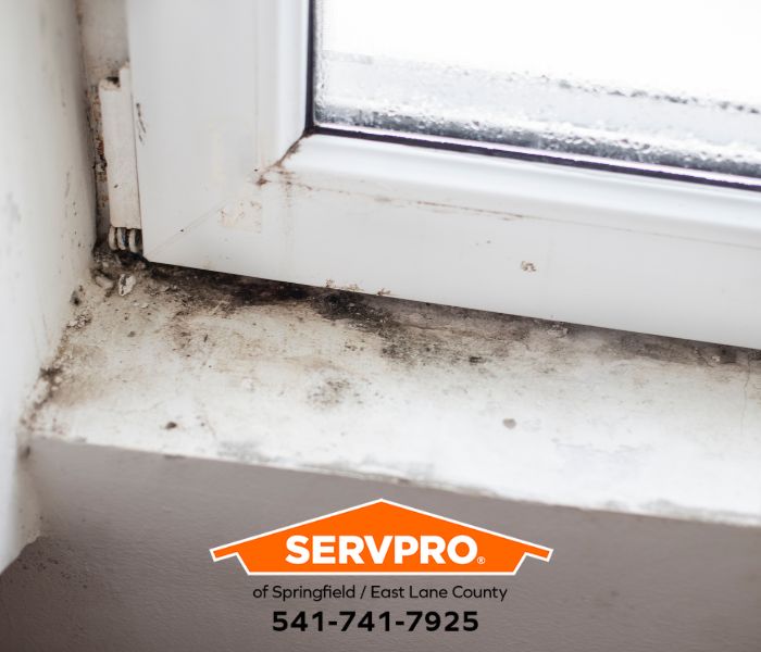 What Process is Used to Restore Mold Damage in Creswell?