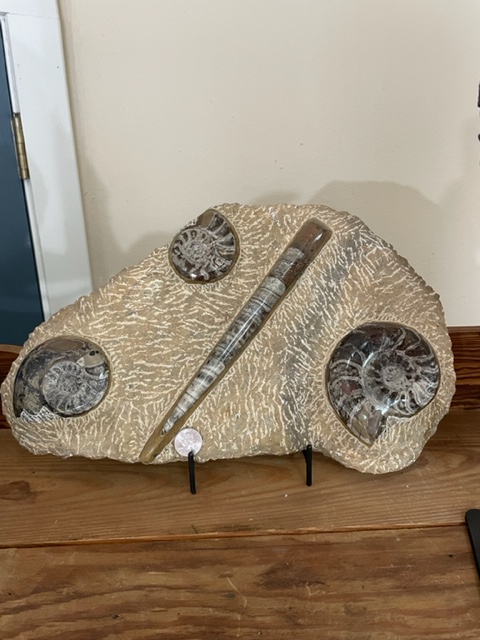 Images Gem Adventures Jewelers & Rock Shop