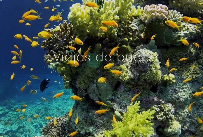 Images Trails and Oceans
